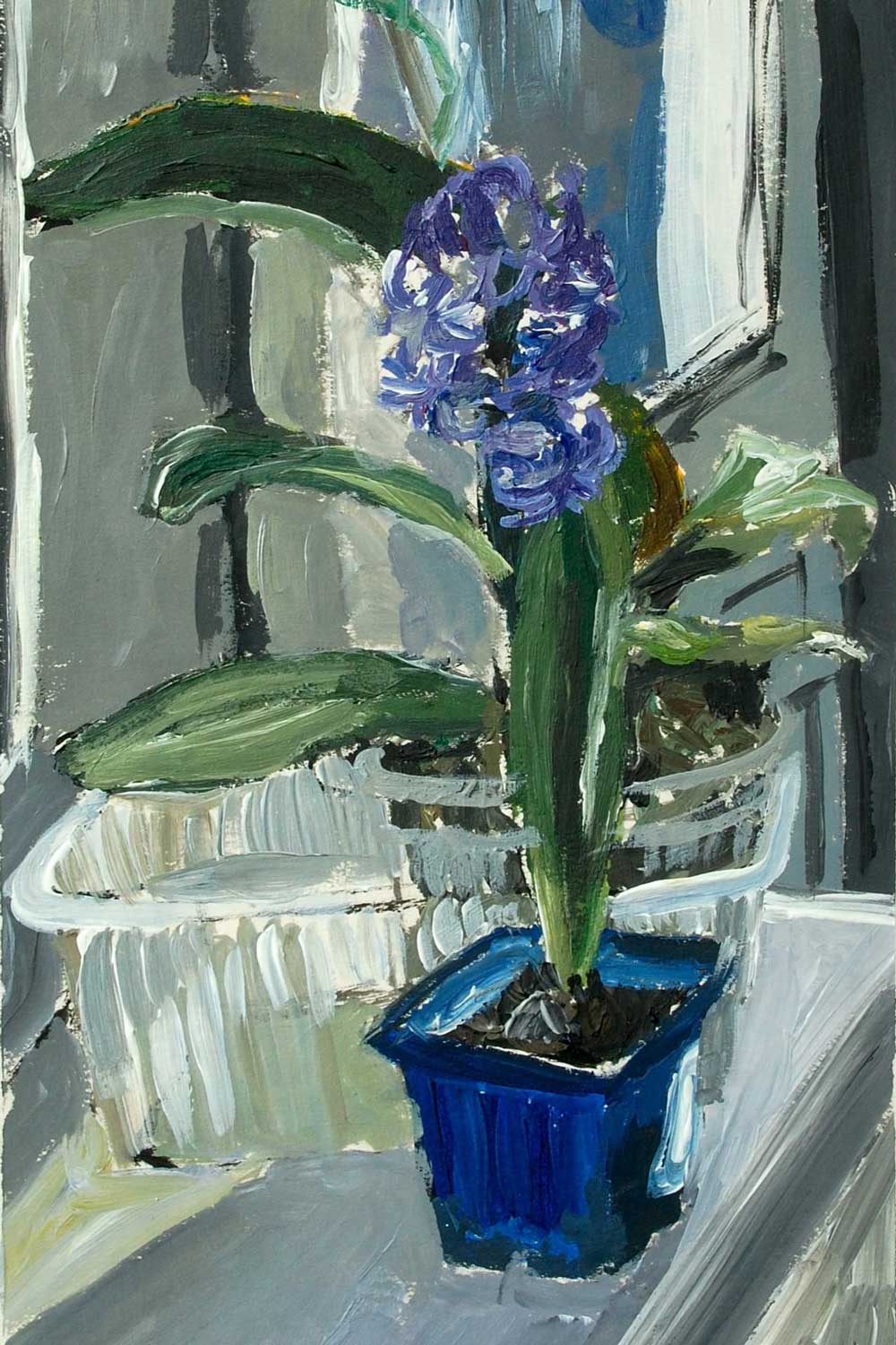 flowers on the windowsill